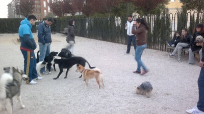 El Ayuntamiento de Albacete se “olvida” de crear una zona de esparcimiento en la ciudad para los propietarios de mascotas