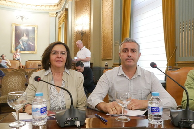 Pleno en la Diputación de Albacete