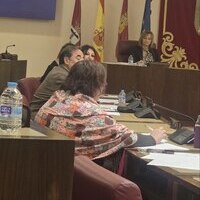 Aprobada la moción de Unidas Podemos sobre VioGen y acoPet: un paso más en la lucha contra la violencia de género
